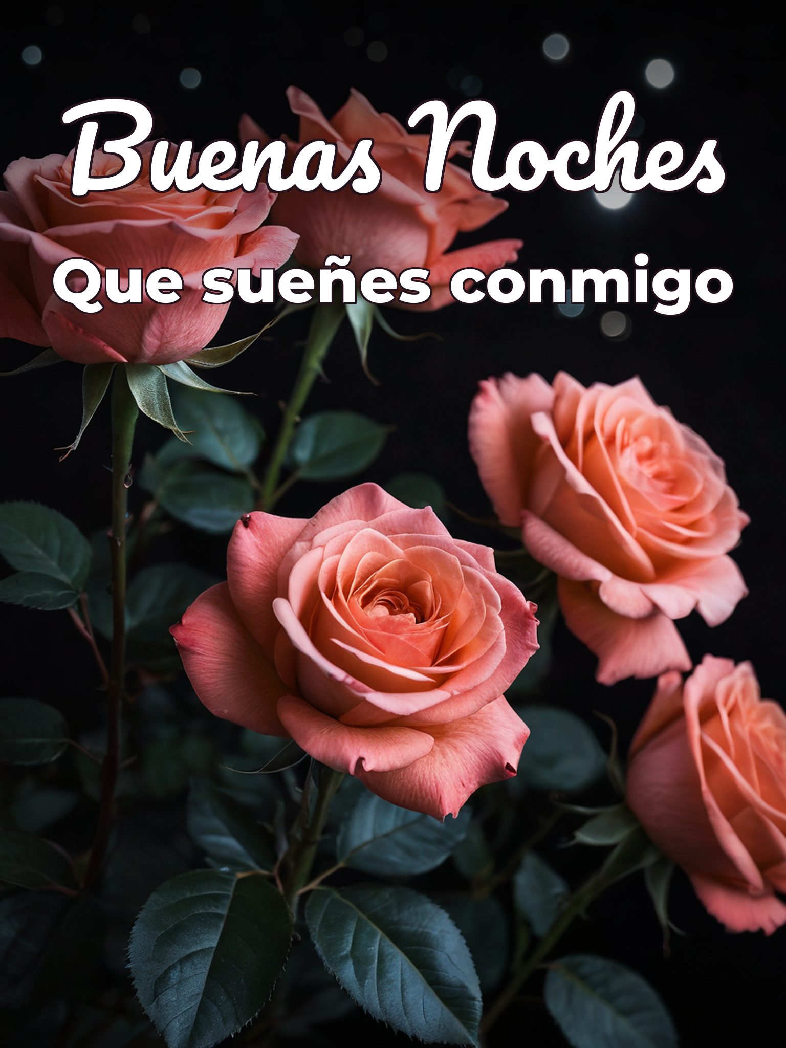 Buenas noches para mi novia para WhatsApp