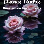 buenas noches buenas noches, mi vida