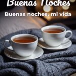 buenas noches buenas noches, mi vida