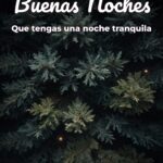 buenas noches que tengas una noche tranquila