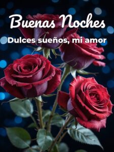 Buenas noches romanticas para mi novia para WhatsApp