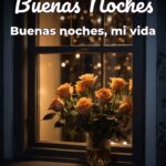buenas noches buenas noches, mi vida
