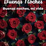 buenas noches buenas noches, mi vida
