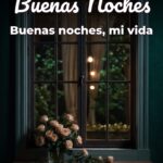 buenas noches buenas noches, mi vida