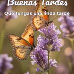 buenas tardes que tengas una linda tarde