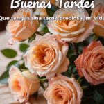 buenas tardes que tengas una tarde preciosa, mi vida