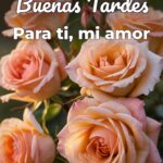 buenas tardes para ti, mi amor