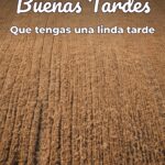 buenas tardes que tengas una linda tarde