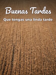 Buenas tardes con rosas para WhatsApp celular