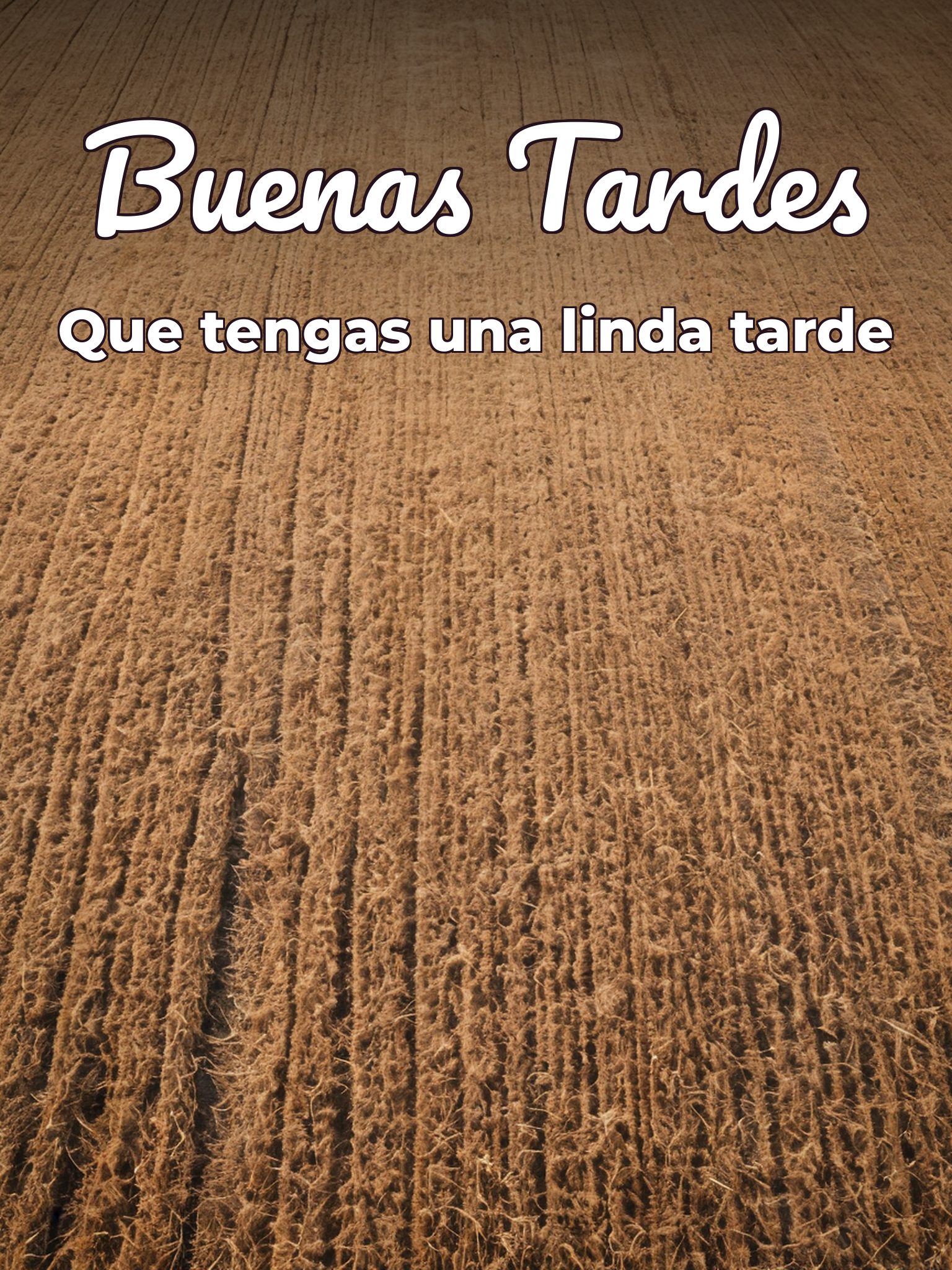 Buenas tardes con rosas para WhatsApp celular