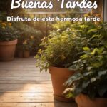 buenas tardes disfruta de esta hermosa tarde