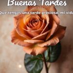buenas tardes que tengas una tarde preciosa, mi vida