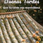 buenas tardes que tu tarde sea maravillosa