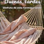 buenas tardes disfruta de esta hermosa tarde