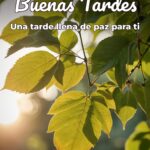 buenas tardes una tarde llena de paz para ti