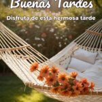 buenas tardes disfruta de esta hermosa tarde