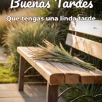 buenas tardes que tengas una linda tarde