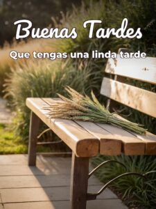 Buenas tardes mi vida para WhatsApp celular