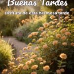 buenas tardes disfruta de esta hermosa tarde