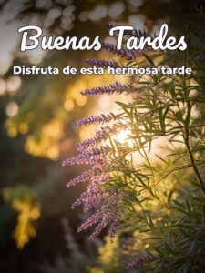 Buenas tardes miércoles para WhatsApp celular