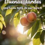 buenas tardes una tarde llena de paz para ti