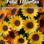 feliz martes que tengas un martes maravilloso