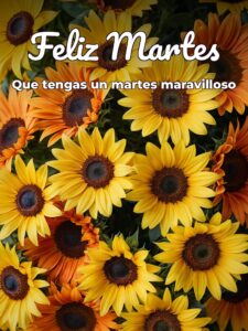 Bueno días martes para WhatsApp gratis para celular