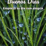 buenos días empieza tu día con alegría