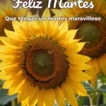 feliz martes que tengas un martes maravilloso