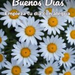 buenos días empieza tu día con alegría