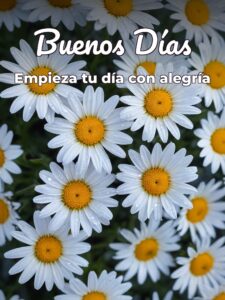Buenos días a todos imágenes para descargar