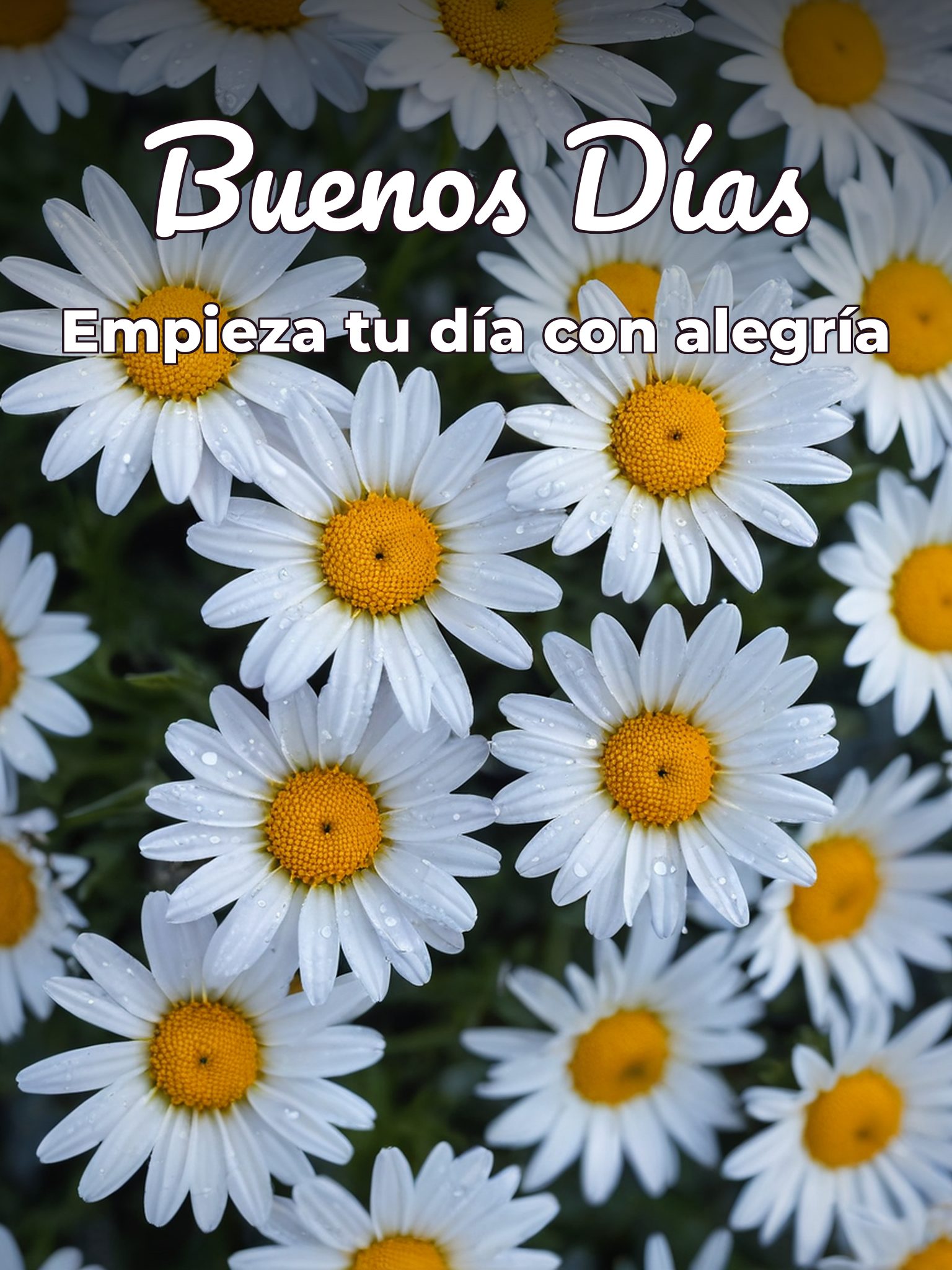 Buenos días a todos imágenes para descargar