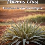 buenos días empieza tu día con alegría