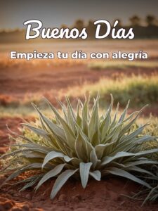 Buenos días a todos imágenes para Facebook
