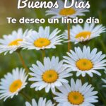 buenos días te deseo un lindo día