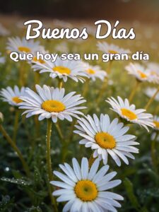 Buenos días amiga imágenes para celular