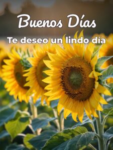 Buenos días amiga imágenes para descargar
