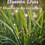 buenos días empieza tu día con alegría