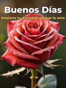 Buenos días amor imágenes lindas