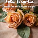 feliz martes empieza tu martes con alegría