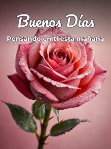 Buenos días amor versos para celular