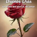 buenos días un buen día para ti, mi amor