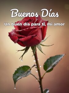 Buenos días amorcito frases para descargar
