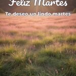 feliz martes te deseo un lindo martes