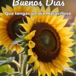 buenos días que tengas un día maravilloso