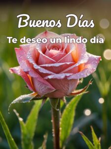 Buenos días con frases bonitas para celular