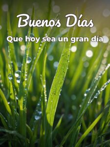 Buenos días con imágenes hermosas