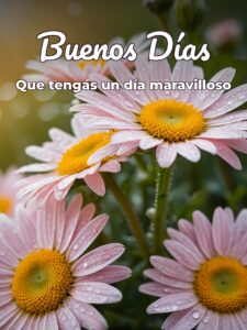 Buenos días con imágenes hermosas para celular