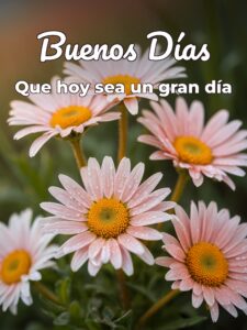 Buenos días con para celular