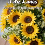 feliz lunes que tengas un lunes maravilloso